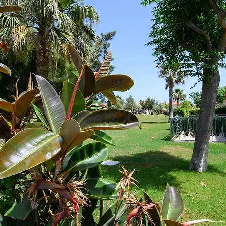 Rentalmar Jalisco *
